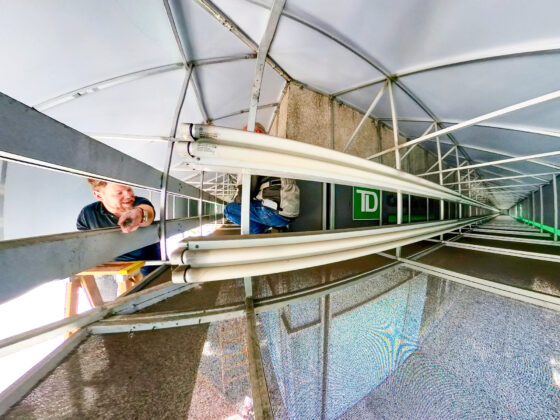 glass-awning-redesign-03-master-upload
