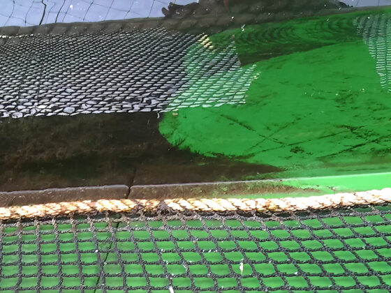 ocean-aquaculture-rd-08-master-upload
